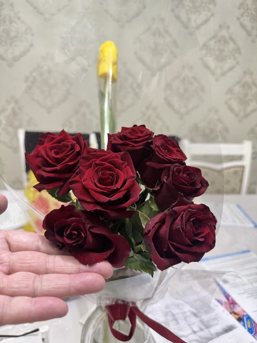 Продам цветы уральск