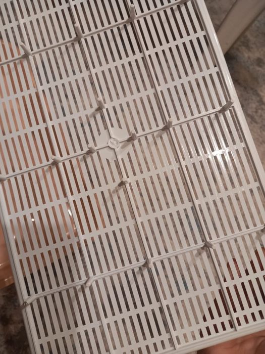 Лоток для котят 2000₸