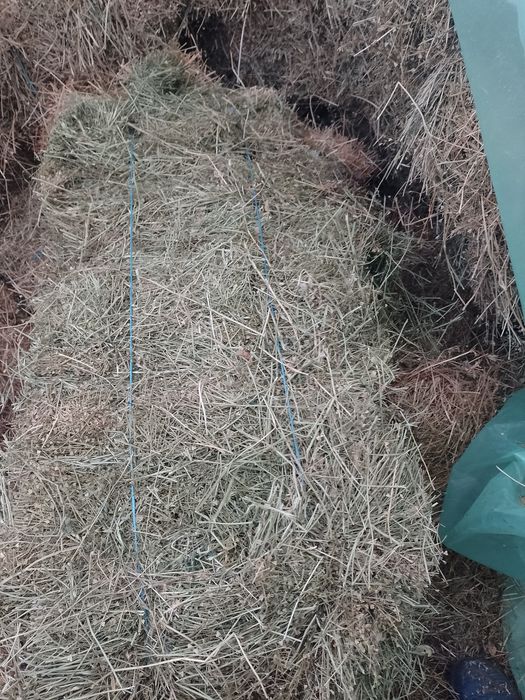 Baloti de Lucernā mazare si fin amestec Lucernanā