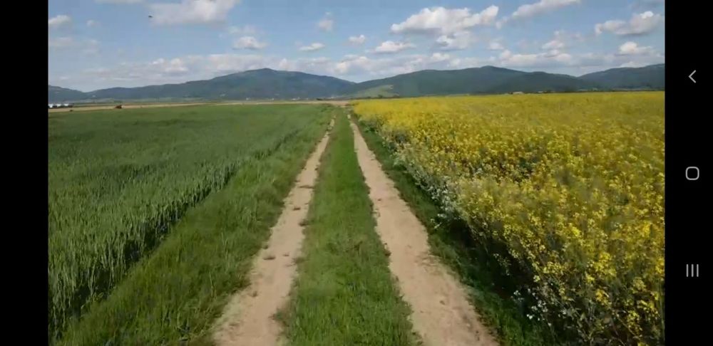 Teren extravilan 395 mp, Prejmer, Brasov - 3 600 euro
