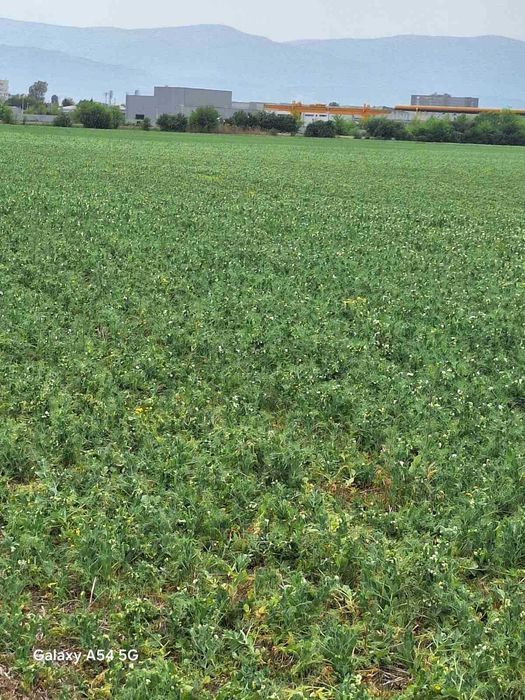 Продава се Парцел в Пловдив, Индустриална зона - Север - 7962 кв.м за 19 €/кв.м - Снимка #3