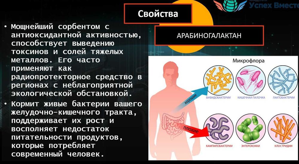 Клеточное питание Success night- для крепкого и спокойного сна!!