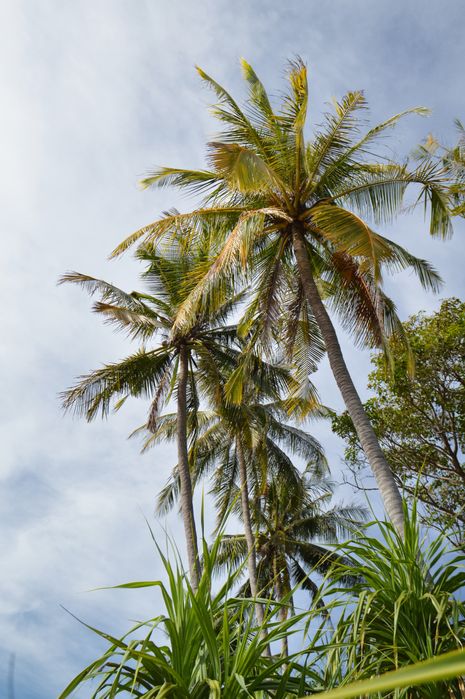 Nikon D3200 kit 18-55mm