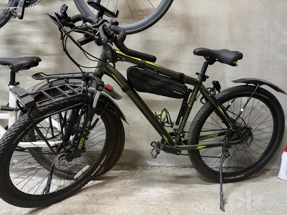 Mongoose montana