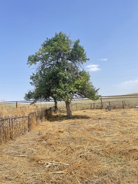 Продам участок земли