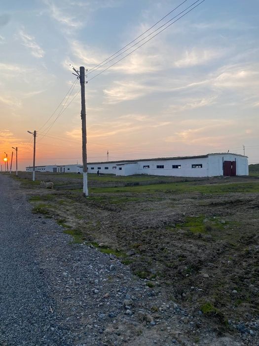 4 гектар 2000м2 бино билан сотилади
400 сотх жой 2100 м2 биноси билан