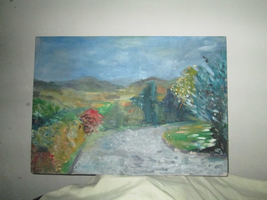 tablou ulei pe panza 50/70cm