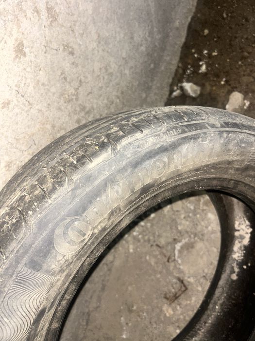 Continental одна штука на 16