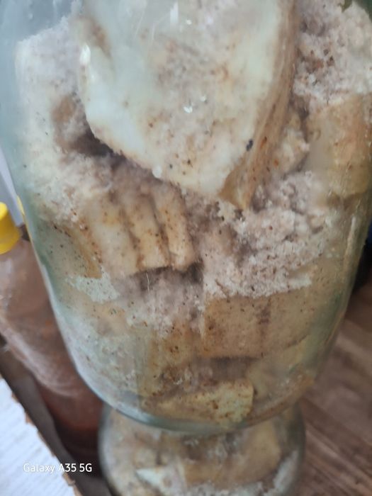 Продам сало солёное домашнее