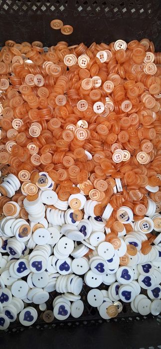 Nasturi între 5 si 10 lei kg