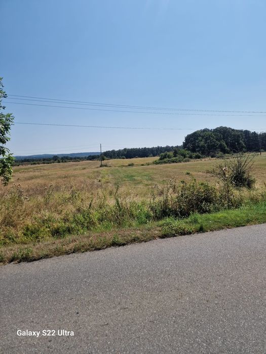 Teren în Târgu-Cărbunești - 12500 mp - 10€/mp