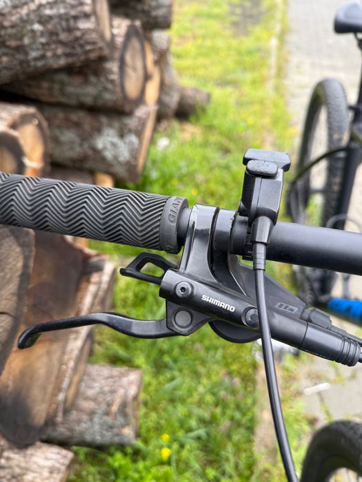 Giant Talon XL”29”