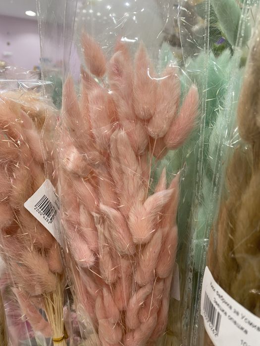 Пухчета заешка опашка