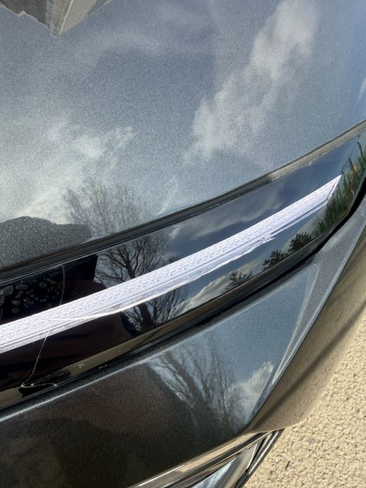 ДХО Монобровь Соната Sonata DN8