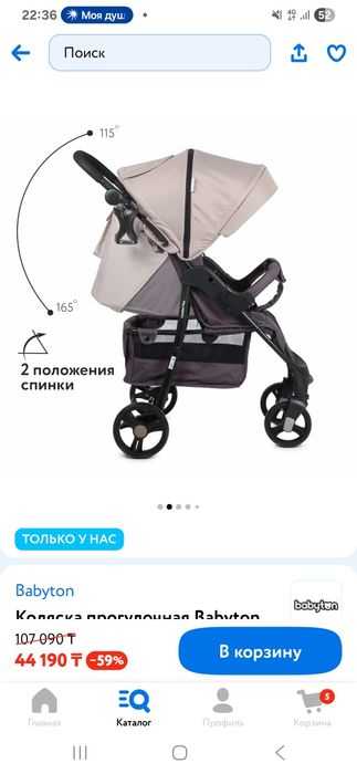 Коляска прогулочная Babyton