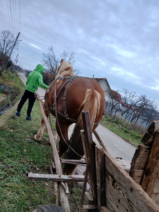 1111111111111111111111111111