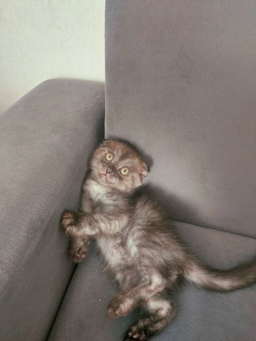 Мальчик 2 месяца