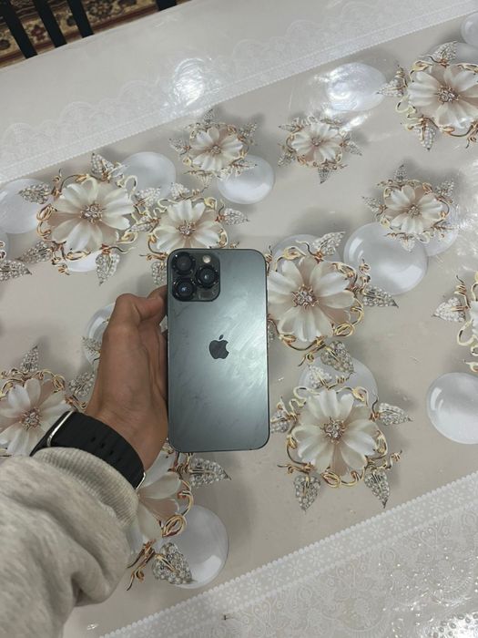 Айфон Хр копус 13про