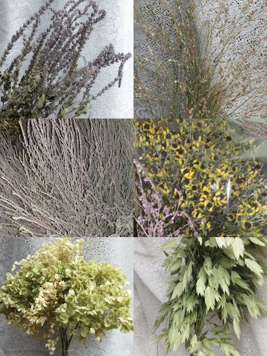 Разные сухоцветы в наличии