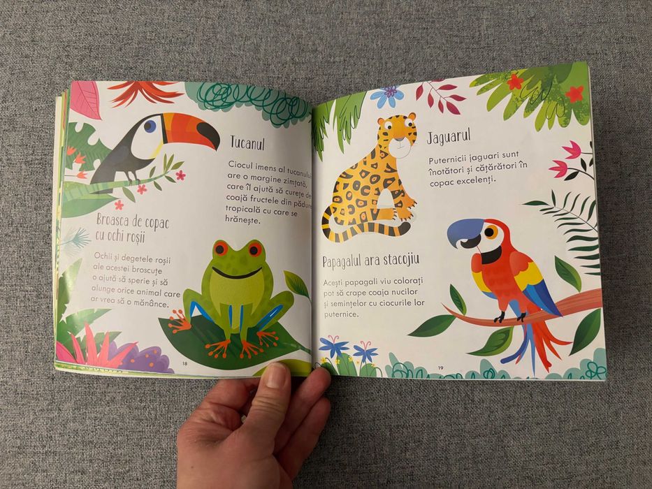 Set de 2 jocuri educative Usborne in limba romana