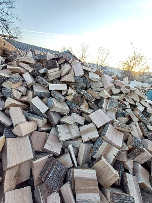 Lemn de foc stejar uscat 650lei tona