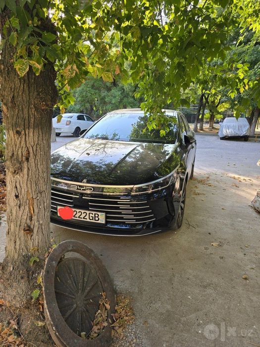 Byd chazor flagship. Gibrid