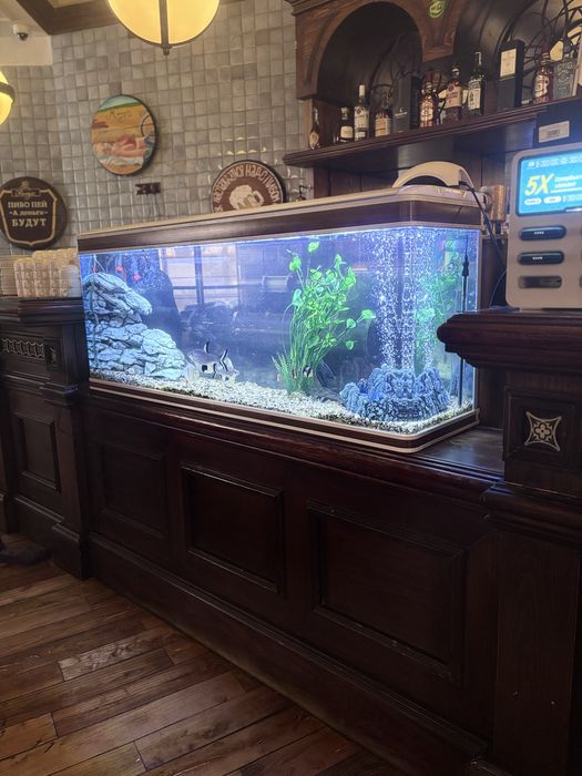 Чистка аквариумов