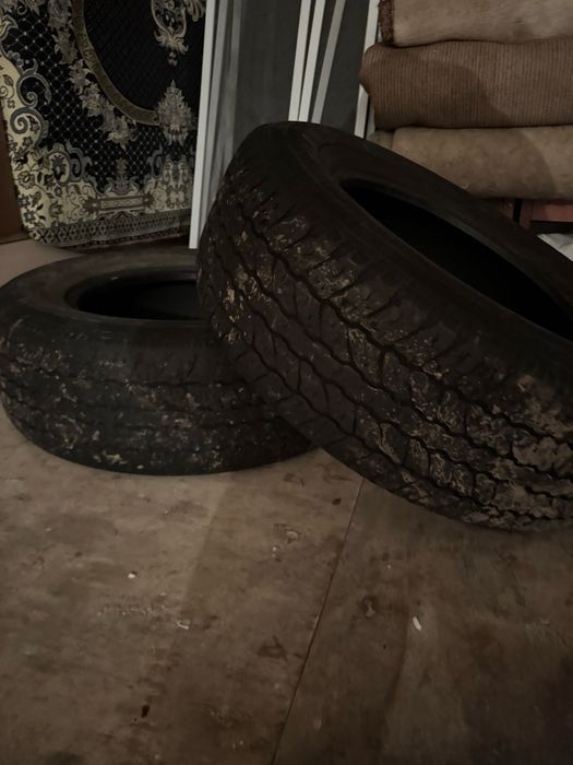 Титанка с покрышкой