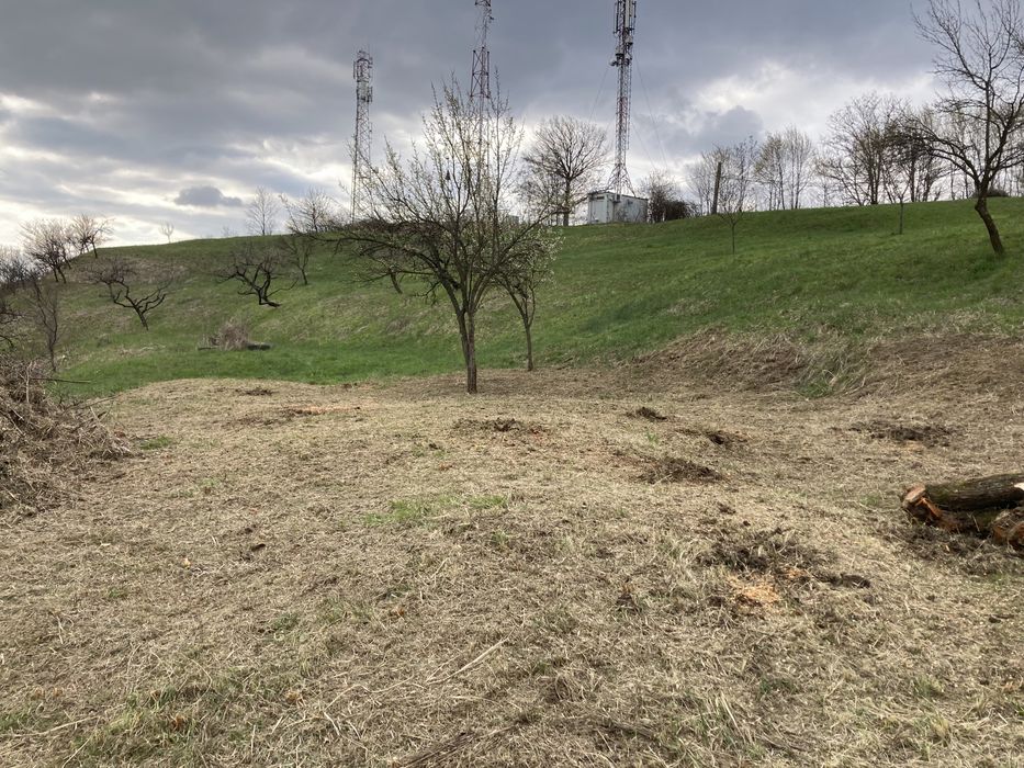 Curatare si defrisari terenuri, amenanjare livezi, garduri etc