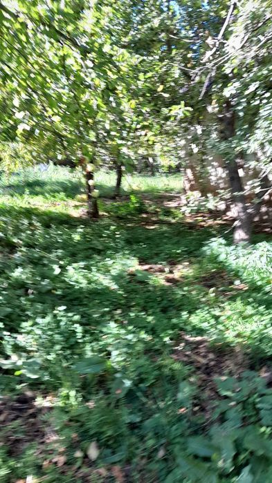 Дача Нанайда пустой йер