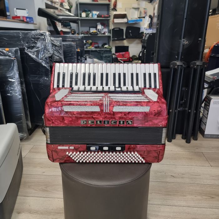 Amanet F28: Acordeon Delicia XIV 120 BASI