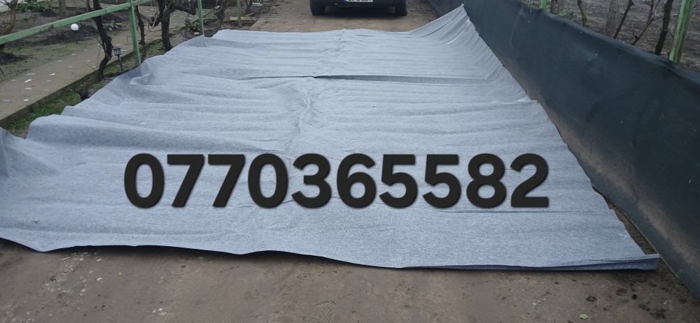 Mochetă evenimente/ diverse