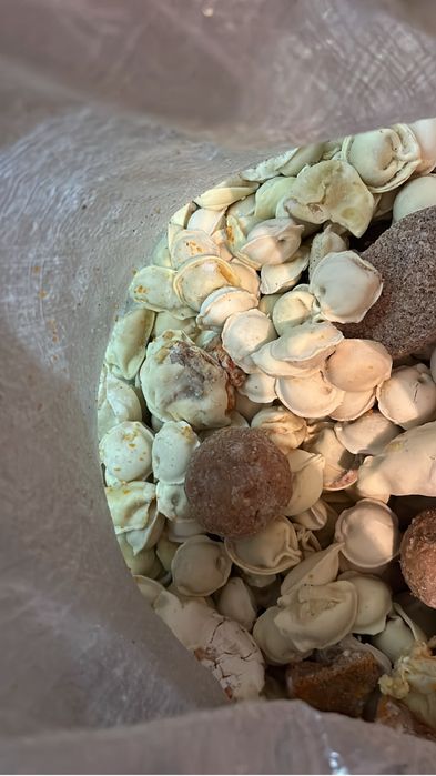 Корм еда для собак и кошек