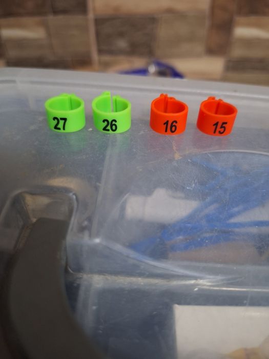 Inele Porumbei..clipsuri..Suporti Inele..Oua de plastic