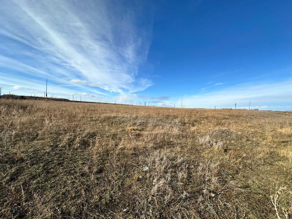 В продаже База новоявленка Алаш 1