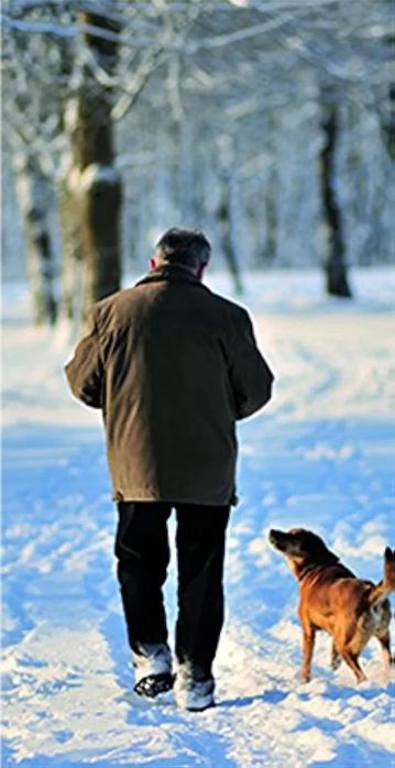 branturi husa antialunecare incaltaminte gheata zapada polei ghete