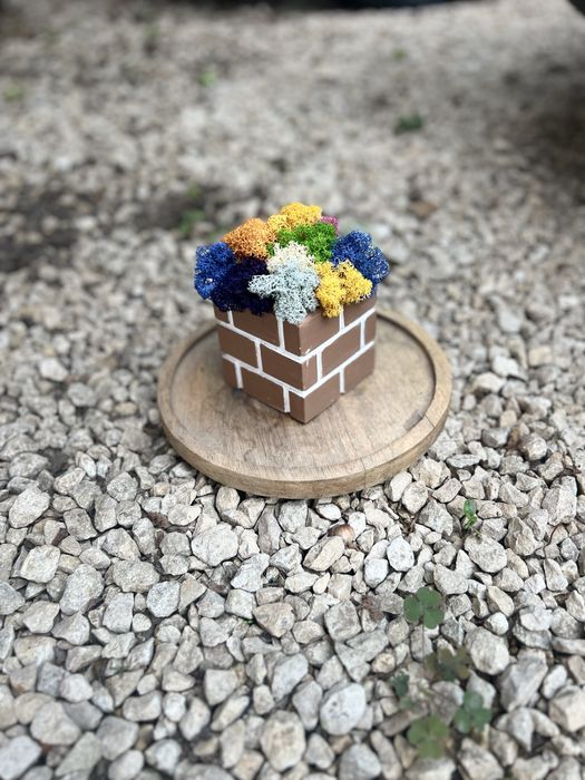 Кашпи със скандинавски мъх 8,50лв.