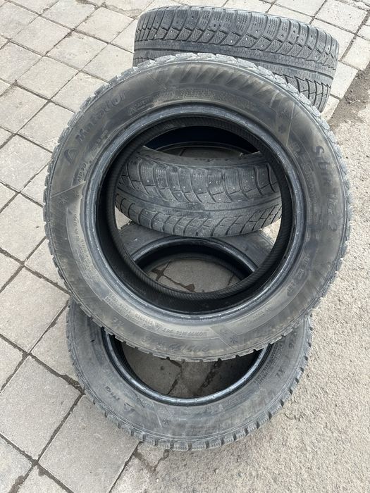 титанка с шигами 4лето 4зима