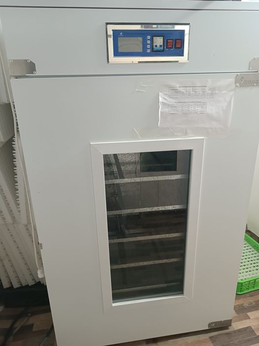 Inkubator 2mingtalik