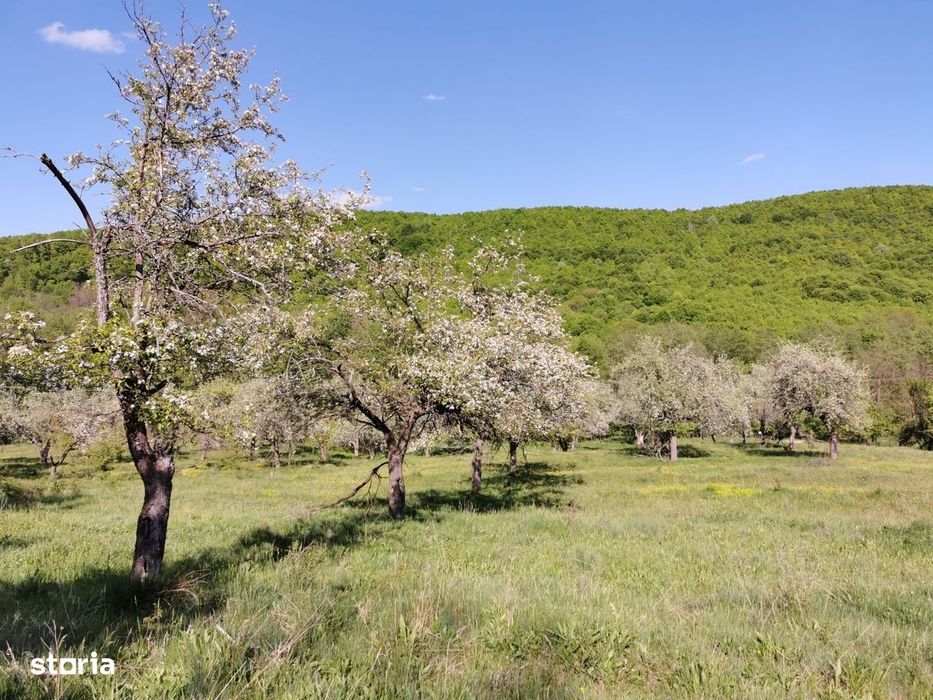 Teren de Vânzare, Budeasa Mica – Potrivit pentru Casă de Vacanță sau I