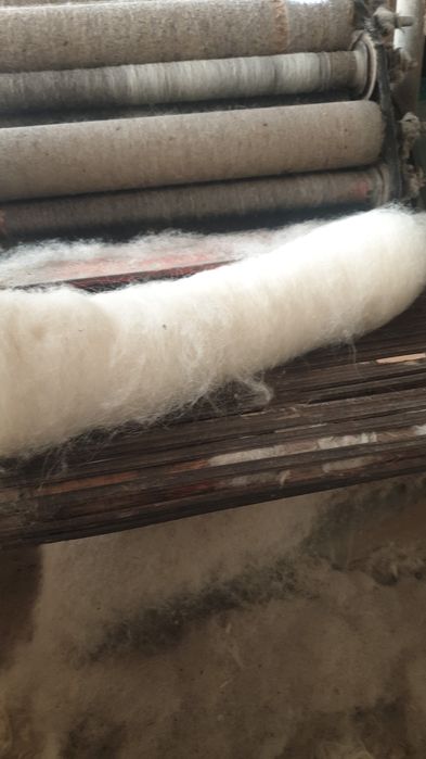 Lana spalata si facuta caier