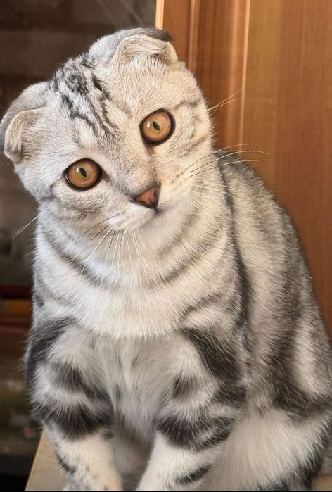 Вязка вязка вязка