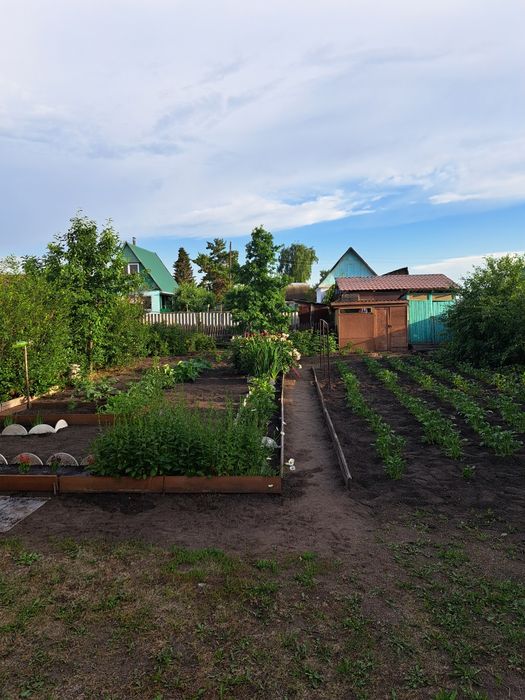 Продам дачу с/т Черёмушки. Новопавловка