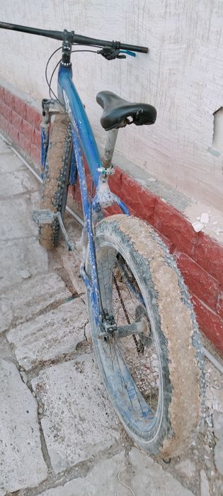 Велик сатам бағасы 75000мың