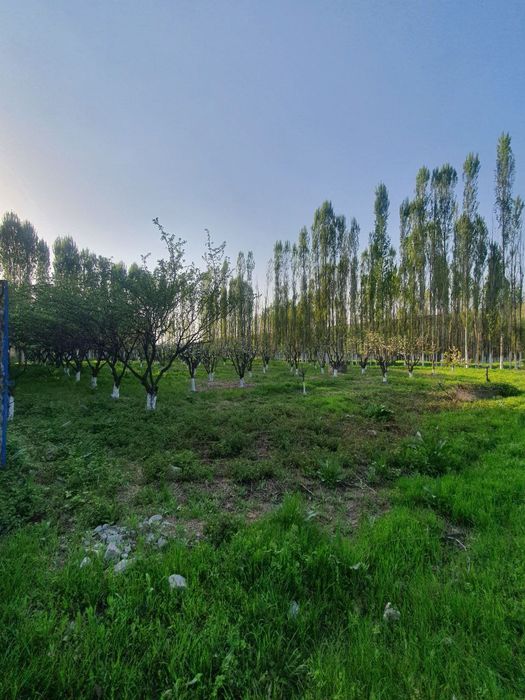 Нотурар бино иншоатлари