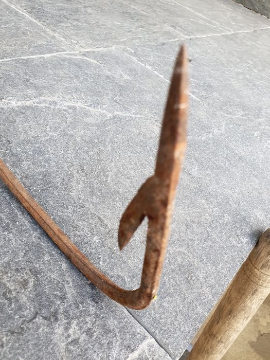 Голяма кука ченгел