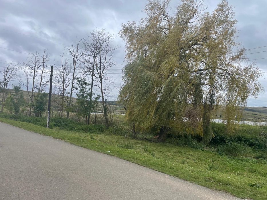 Teren intravilan 1.608 mp Mărtinești – lac în față