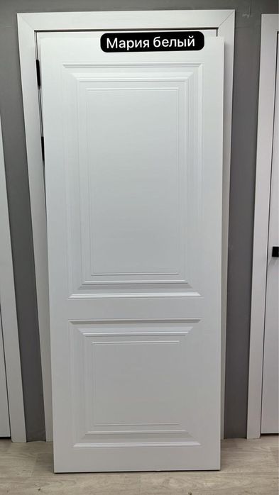 Двери ЭМАЛЬ от 49500 ₸