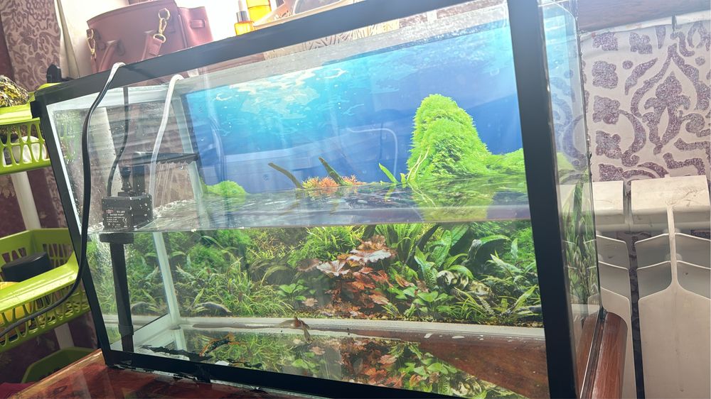 АКВАРИУМ 35 литров