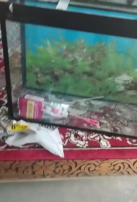 Сотилади аквариум  80 лит